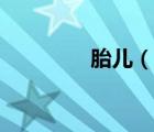 胎兒（說一說胎兒的簡(jiǎn)介）
