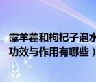 霪羊藿和枸杞子泡水喝的功效與作用（枸杞子介紹 枸杞子的功效與作用有哪些）