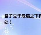 君子立于危墻之下有所為有所不為（君子有所為有所不為出處）