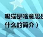 吸貓是啥意思是什么（說一說吸貓是啥意思是什么的簡介）
