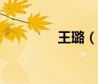 王璐（說一說王璐的簡介）