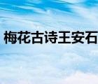 梅花古詩(shī)王安石古詩(shī)拼音（梅花古詩(shī)王安石）