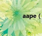 aape（說一說aape的簡介）