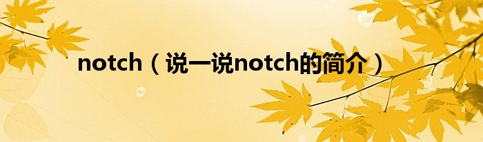 notch（說一說notch的簡介）