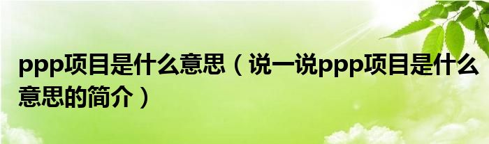 ppp項(xiàng)目是什么意思（說(shuō)一說(shuō)ppp項(xiàng)目是什么意思的簡(jiǎn)介）