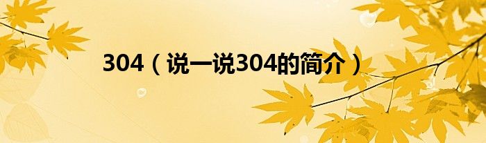 304（說一說304的簡介）