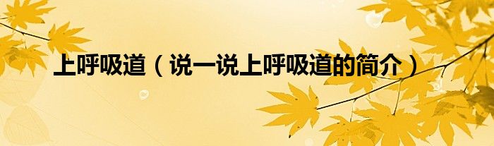 上呼吸道（說一說上呼吸道的簡介）