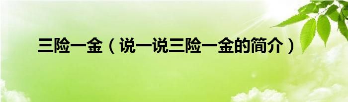 三險一金（說一說三險一金的簡介）