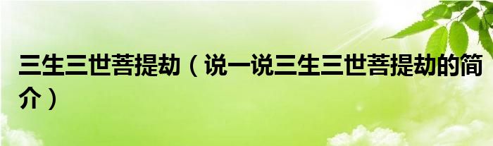 三生三世菩提劫（說一說三生三世菩提劫的簡介）