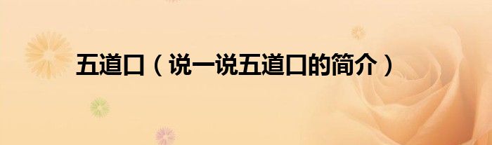 五道口（說(shuō)一說(shuō)五道口的簡(jiǎn)介）