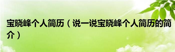 寶曉峰個人簡歷（說一說寶曉峰個人簡歷的簡介）