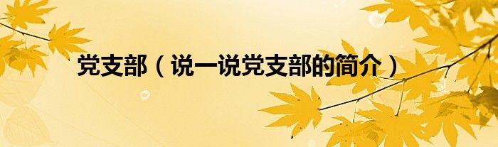 黨支部（說一說黨支部的簡介）
