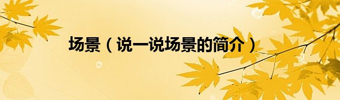 場(chǎng)景（說一說場(chǎng)景的簡(jiǎn)介）