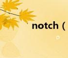notch（說一說notch的簡介）