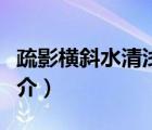 疏影橫斜水清淺（說一說疏影橫斜水清淺的簡介）