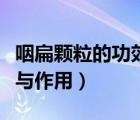 咽扁顆粒的功效與作用視頻（咽扁顆粒的功效與作用）