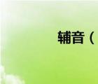 輔音（說一說輔音的簡介）