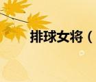排球女將（說一說排球女將的簡(jiǎn)介）