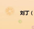 劉?。ㄕf一說劉丁的簡介）