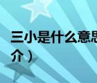 三小是什么意思（說(shuō)一說(shuō)三小是什么意思的簡(jiǎn)介）