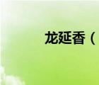 龍延香（說一說龍延香的簡介）