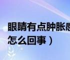 眼睛有點(diǎn)腫脹感是怎么回事（眼睛腫脹疼痛是怎么回事）