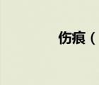 傷痕（說一說傷痕的簡介）
