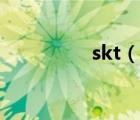 skt（說一說skt的簡介）