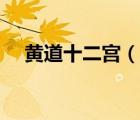 黃道十二宮（說一說黃道十二宮的簡介）