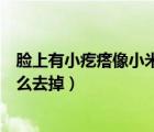 臉上有小疙瘩像小米粒疙瘩怎么清理（臉上長小米粒疙瘩怎么去掉）