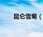 昆侖雪菊（說(shuō)一說(shuō)昆侖雪菊的簡(jiǎn)介）