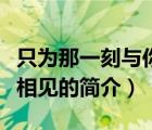 只為那一刻與你相見（說一說只為那一刻與你相見的簡介）