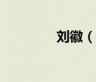 劉徽（說一說劉徽的簡介）