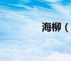 海柳（說(shuō)一說(shuō)海柳的簡(jiǎn)介）