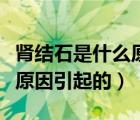 腎結(jié)石是什么原因引起的女性（腎結(jié)石是什么原因引起的）