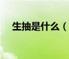 生抽是什么（說(shuō)一說(shuō)生抽是什么的簡(jiǎn)介）