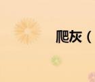 爬灰（說一說爬灰的簡介）