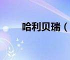 哈利貝瑞（說一說哈利貝瑞的簡介）