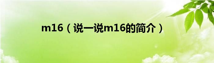 m16（說一說m16的簡介）