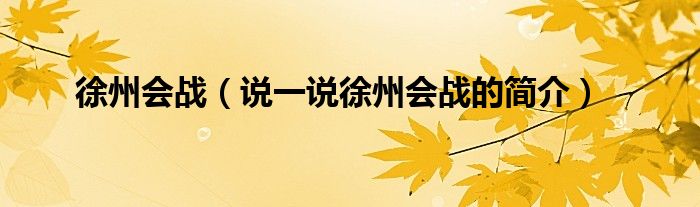 徐州會戰(zhàn)（說一說徐州會戰(zhàn)的簡介）