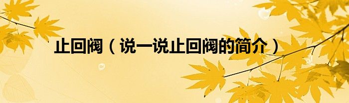 止回閥（說一說止回閥的簡介）