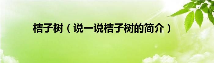 桔子樹（說一說桔子樹的簡介）