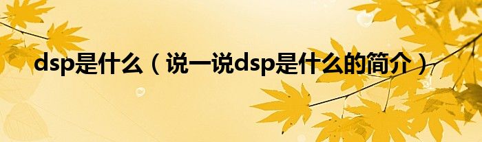 dsp是什么（說一說dsp是什么的簡介）