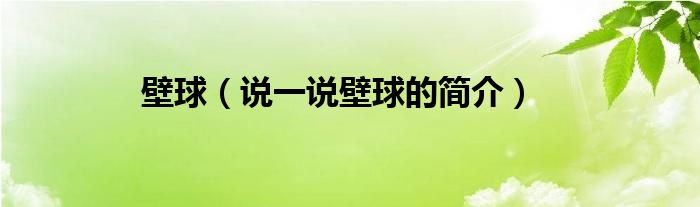 壁球（說一說壁球的簡介）