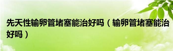 先天性輸卵管堵塞能治好嗎（輸卵管堵塞能治好嗎）