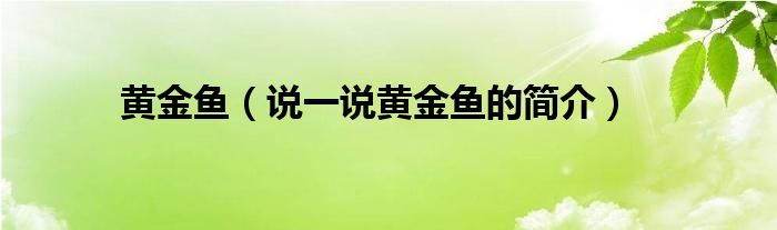 黃金魚（說一說黃金魚的簡(jiǎn)介）