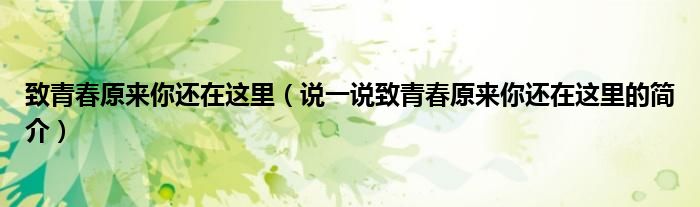 致青春原來你還在這里（說一說致青春原來你還在這里的簡介）