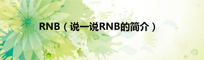 RNB（說(shuō)一說(shuō)RNB的簡(jiǎn)介）