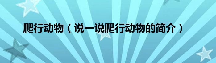 爬行動物（說一說爬行動物的簡介）
