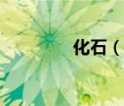 化石（說一說化石的簡介）